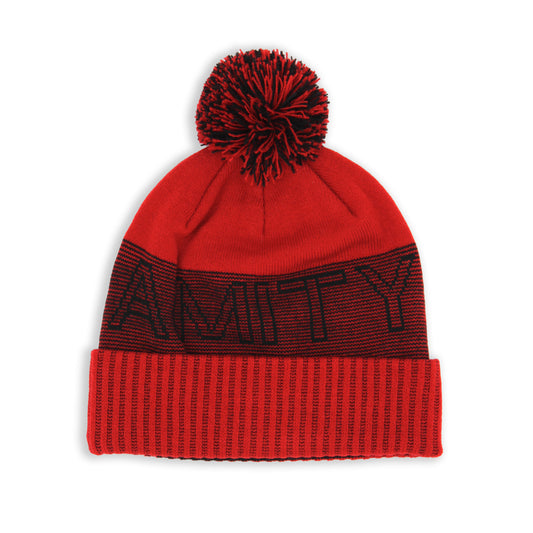 Men’s Winter Hat with Pompom